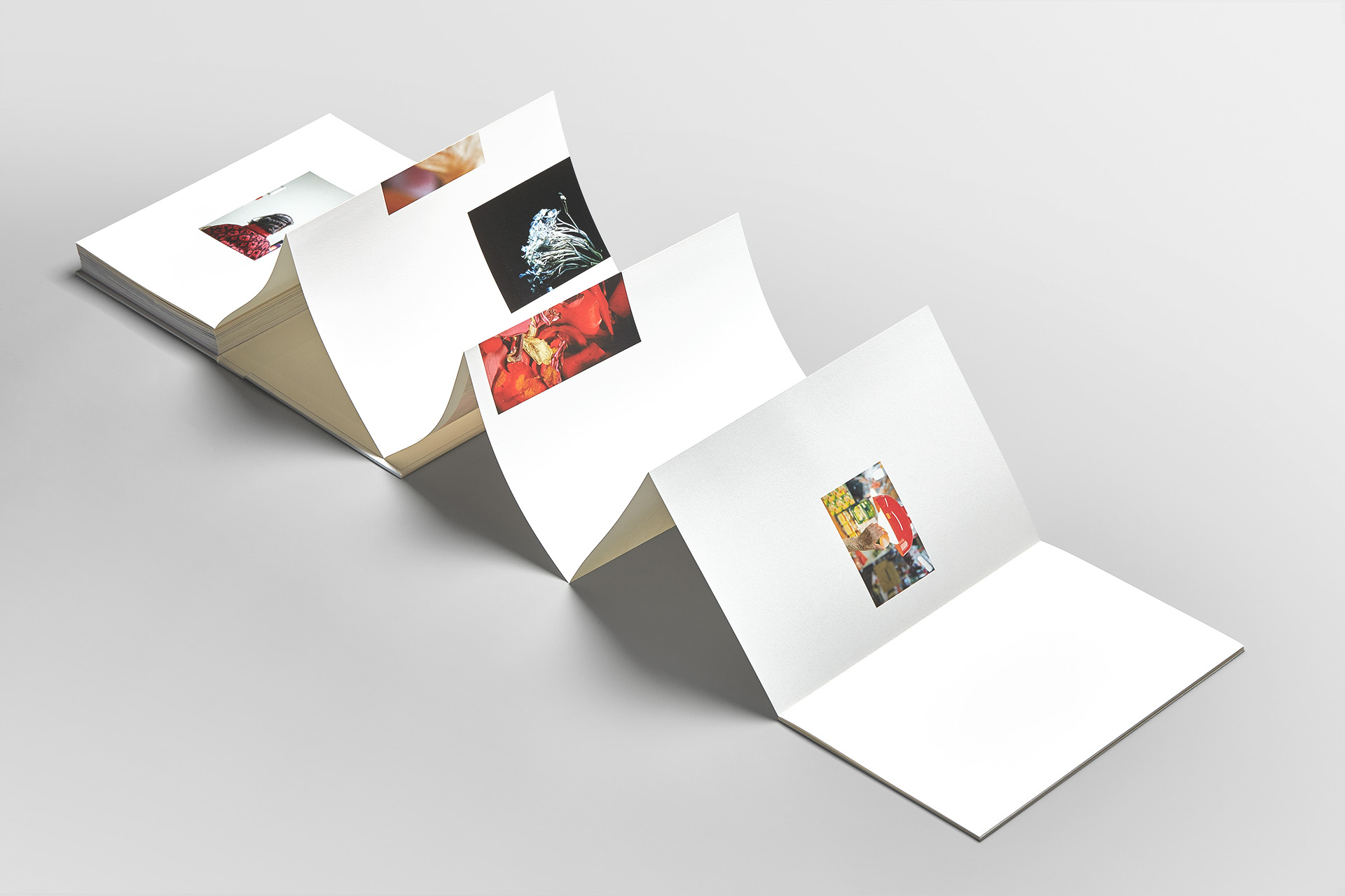 Colouring-Timeline_13