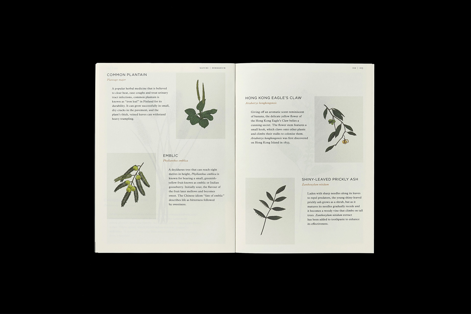 inside-muses_26