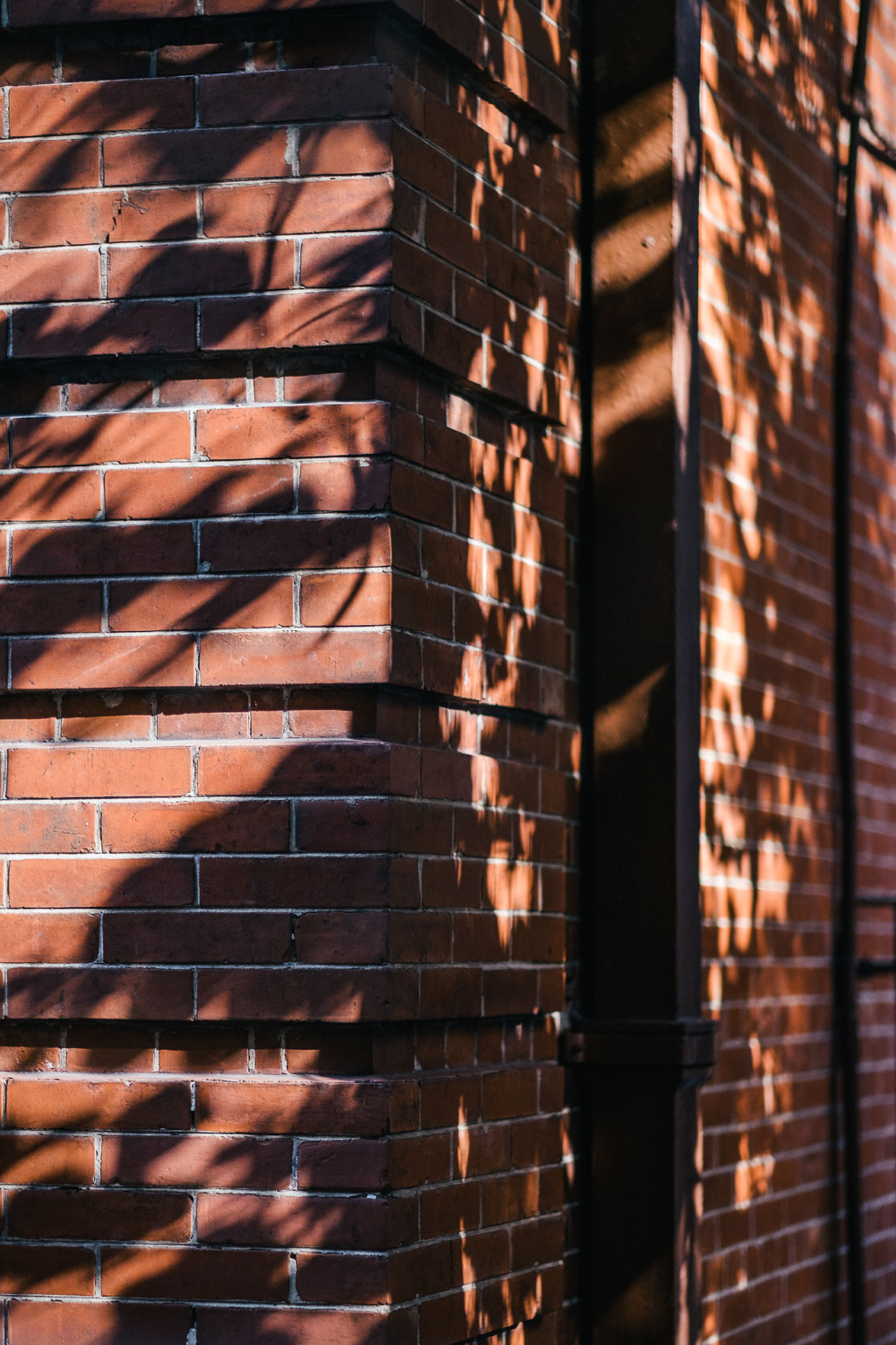 artisan-house-20